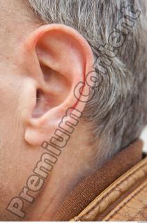 Ear texture of street references 387 0001